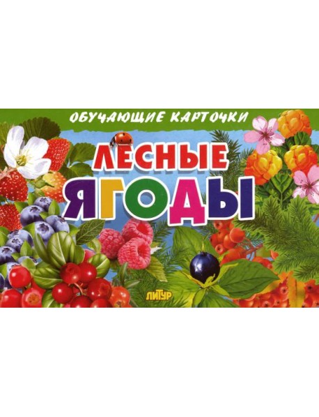 Лесные ягоды. Обучающие карточки