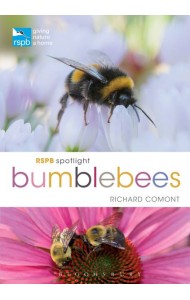 RSPB Spotlight Bumblebees