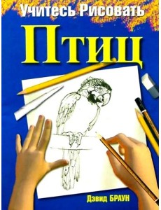 Учитесь рисовать птиц