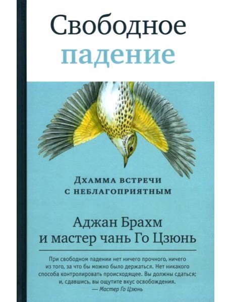 Свободное падение. Дхамма встречи с неблагоприятным