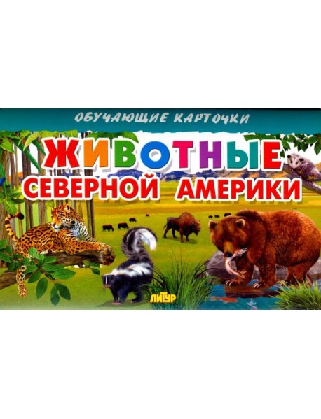 Животные Северной Америки