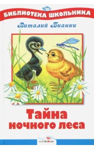 БШ. Тайна ночного леса
