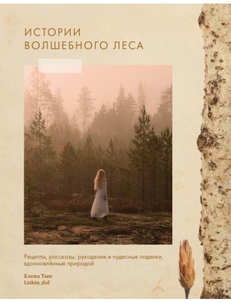 Истории волшебного леса. Рецепты, рассказы, рукоделие и чудесные поделки, вдохновлённые природой