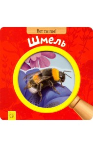 Вот ты где! Шмель