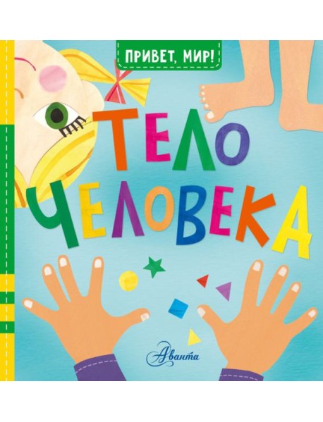 Тело человека