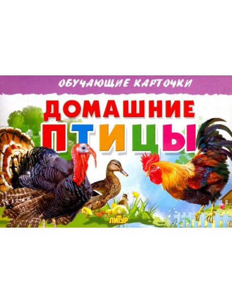 Карточки. Домашние птицы