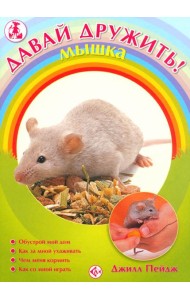 Мышка