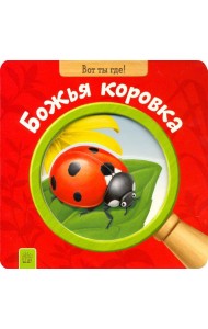 Вот ты где! Божья коровка