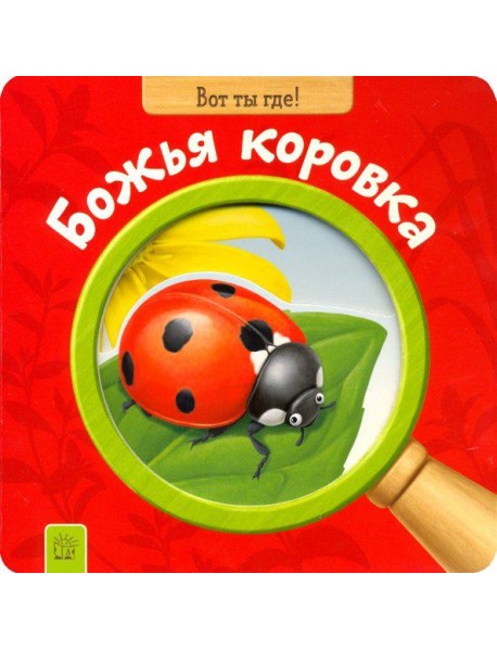 Вот ты где! Божья коровка