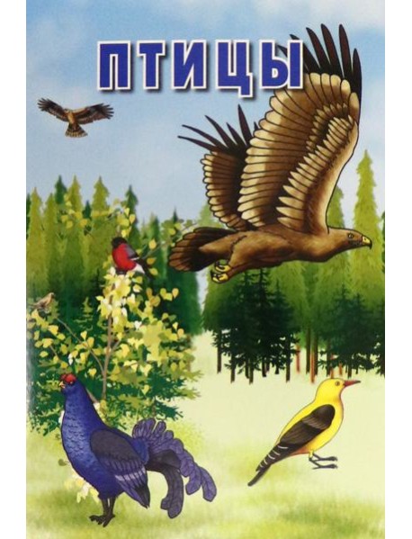 Карточки. Птицы (Интересные факты о каждой птице)