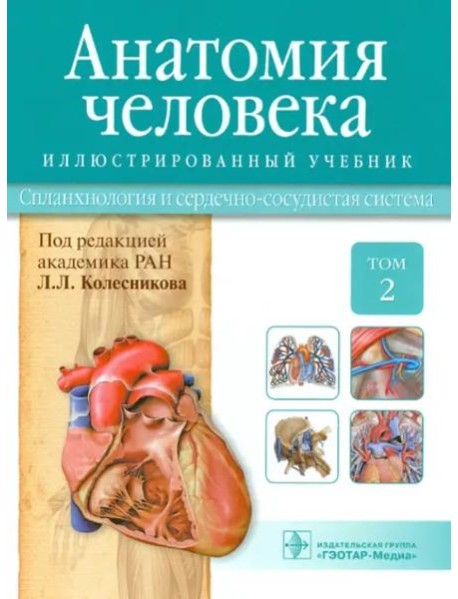 Анатомия человека. Учебник. В 3-х томах. Том 2. Спланхнология и сердечно-сосудистая система