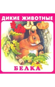 Набор карточек 