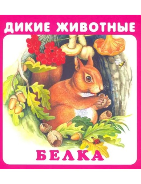 Набор карточек 