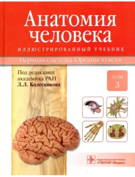 Анатомия человека. Учебник в 3-х томах. Том 3. Нервная система. Органы чувств