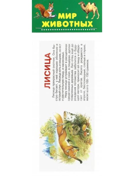 Набор карточек. Мир животных