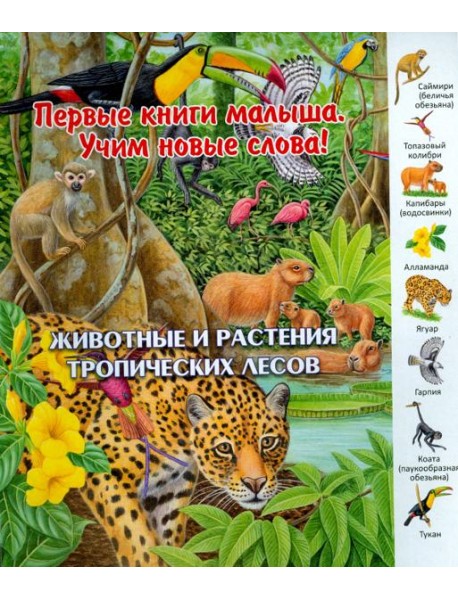 Животные и растения тропических лесов. Виммельбух