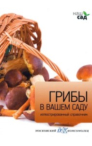 Грибы в вашем саду