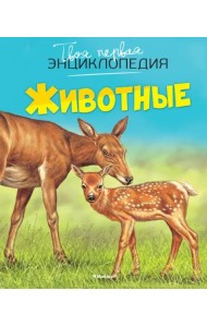 Животные