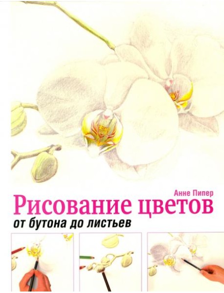 Рисование цветов от бутона до листьев