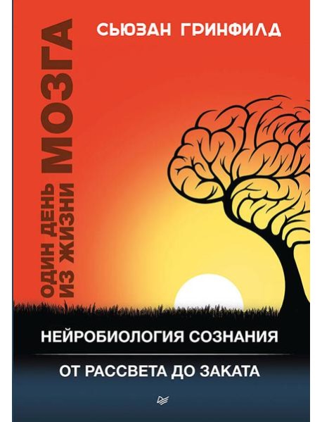 Один день из жизни мозга. Нейробиология сознания от рассвета до заката