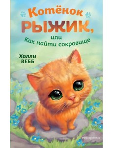 Котенок Рыжик, или Как найти сокровище