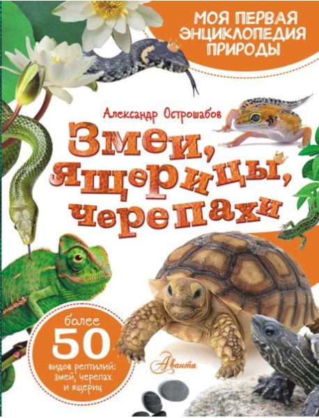 Змеи, ящерицы, черепахи: энциклопедия