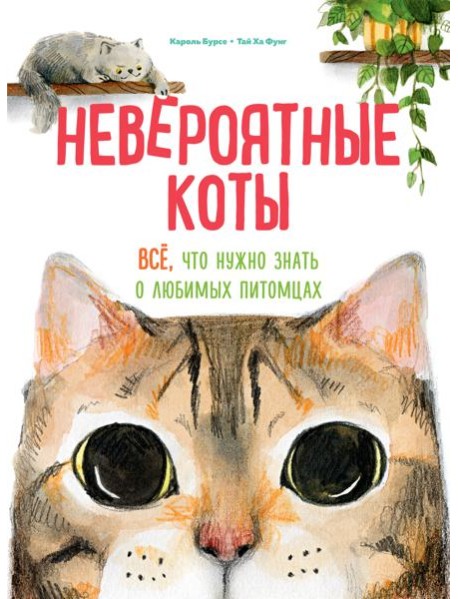 Невероятные коты. Всё, что нужно знать о любимых питомцах