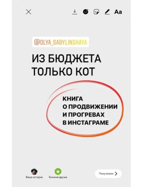 Из бюджета только кот. Книга о продвижении и прогревах в инстаграме