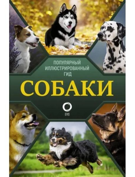 Собаки. Популярный иллюстрированный гид