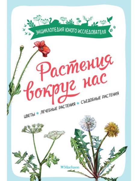 Растения вокруг нас