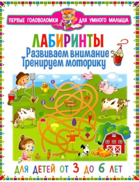 Лабиринты. Развиваем внимание, тренируем моторику