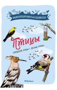 Птицы