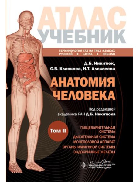 Анатомия человека: атлас: учебное пособие: в 3-х т. Т. 2