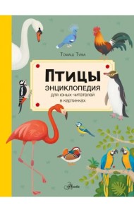 Птицы
