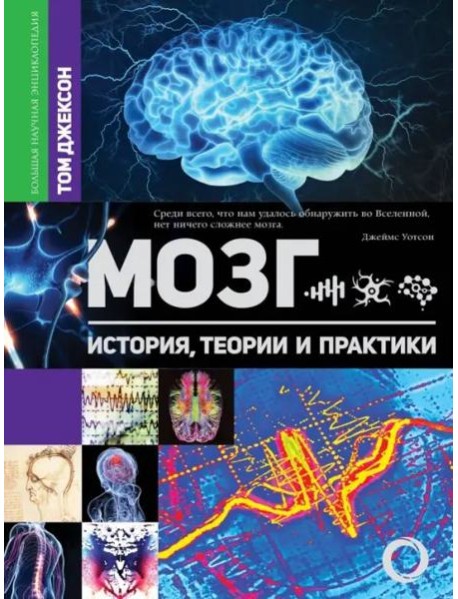 Мозг. История, теории и практики