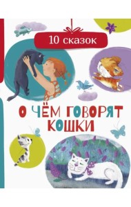 О чем говорят кошки