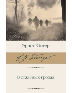 В стальных грозах