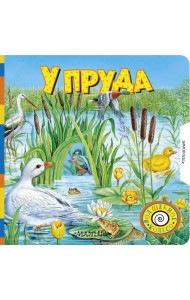 У пруда