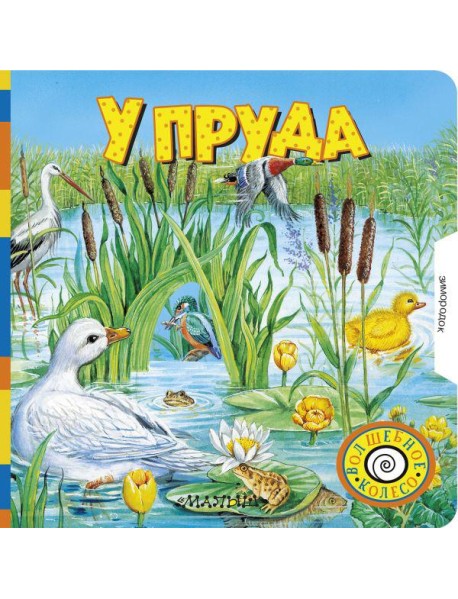 У пруда