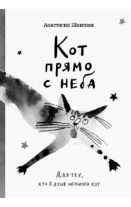 Кот прямо с неба