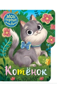 Котёнок