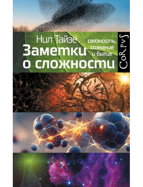 Заметки о сложности. Связанность, сознание и бытие