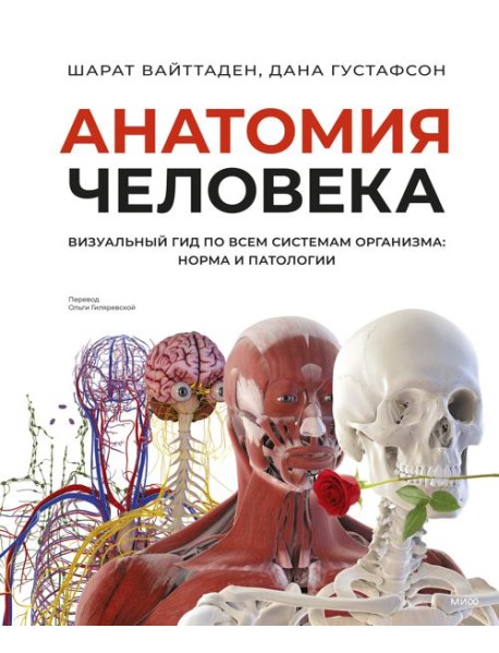 Анатомия человека. Визуальный гид по всем системам организма: норма и патологии