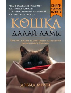 Кошка Далай-Ламы. Чудесное спасение и удивительная судьба уличной кошки из трущоб Нью-Дели (покет для новой серии)