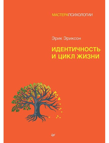 Идентичность и цикл жизни