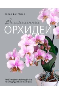 Великолепные орхидеи. Практичное руководство по уходу для начинающих