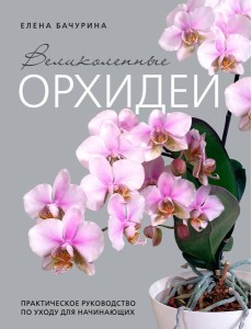 Великолепные орхидеи. Практичное руководство по уходу для начинающих
