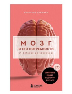 Мозг и его потребности. 2.0 от питания до признания