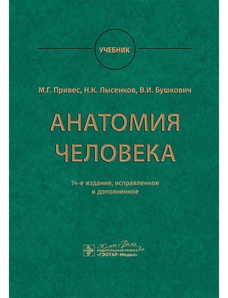 Анатомия человека: Учебник. 14-е изд., испр. и доп. Привес М.Г., Лысенков Н.К., Бушкович В.И.