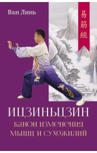 Канон изменения мышц и сухожилий 